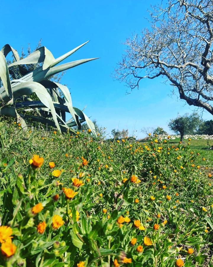 Masseria Limone Martina Franca Exteriér fotografie